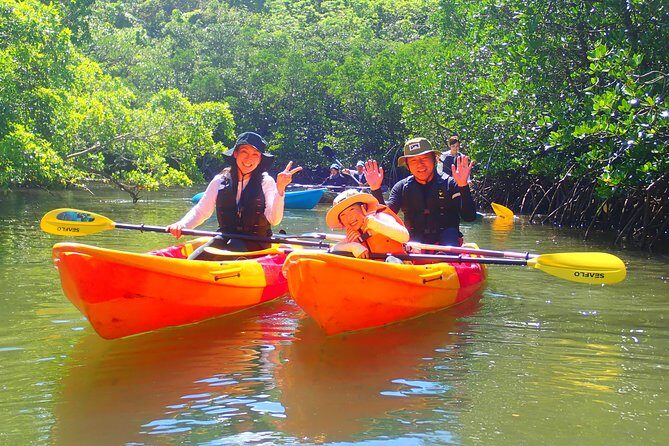 Okinawa Iriomote Mangrove SUP or Canoe Tour - Frequently Asked Questions