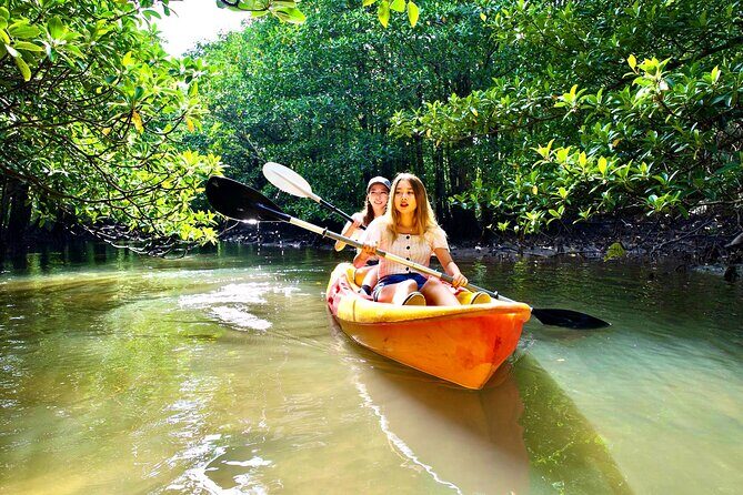 Okinawa Iriomote Mangrove SUP or Canoe Tour - Final Word