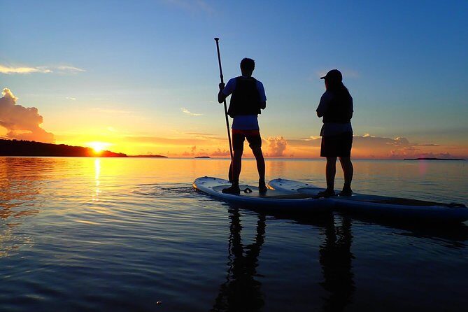Okinawa Iriomote Sunrise SUP/Canoe Tour in Iriomote Island - Who Should Consider This Tour