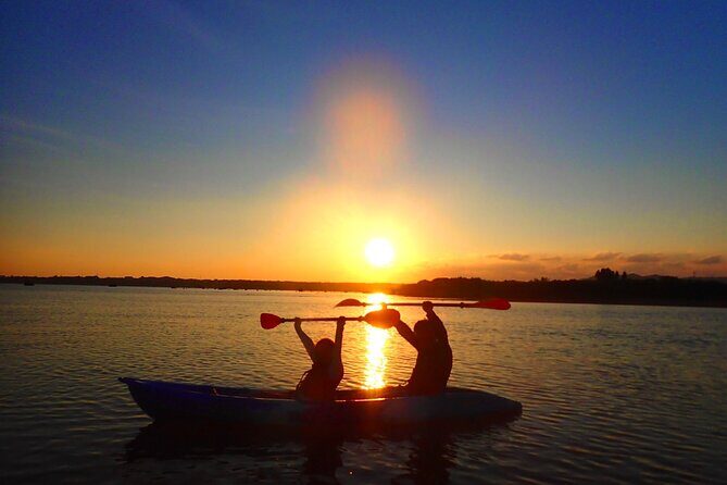 Okinawa Iriomote Sunset SUP or Canoe Tour in Iriomote Island - A Detailed Look at the Iriomote Sunset SUP or Canoe Tour