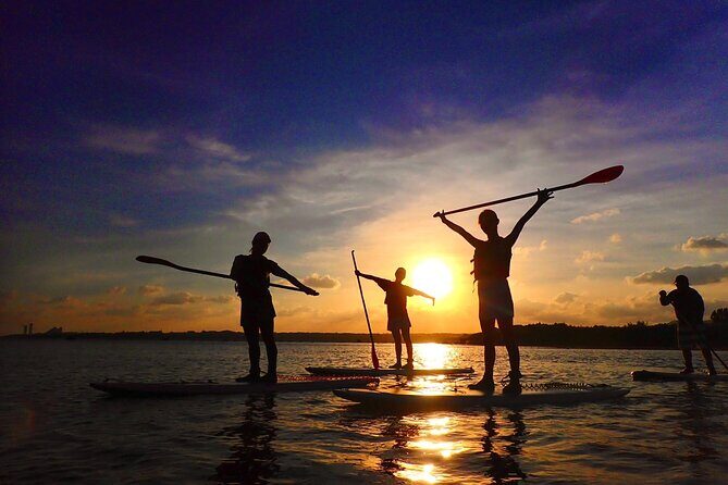 Okinawa Iriomote Sunset SUP or Canoe Tour in Iriomote Island - Final Thoughts