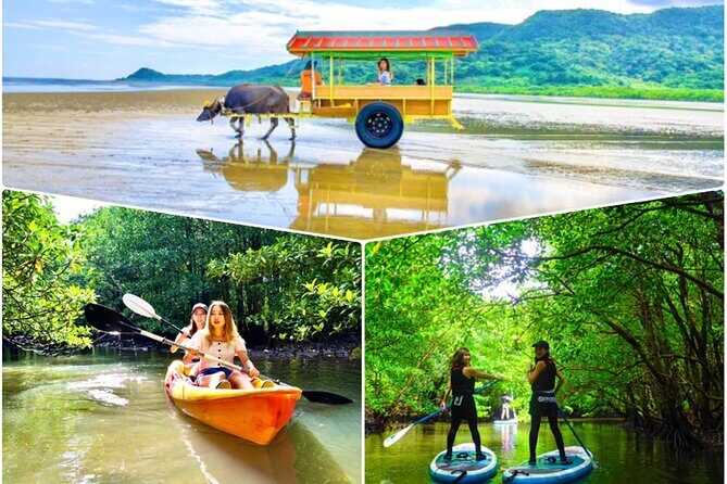 Okinawa Iriomote SUP or Canoe and Sightseeing in Yubujima island - Key Points