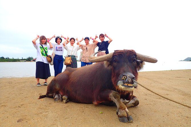 Okinawa Iriomote SUP or Canoe and Sightseeing in Yubujima island - FAQ