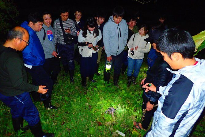 Okinawa Iriomotejima Night Adventure Tour - Practical Details: Transport, Group Size, and Duration