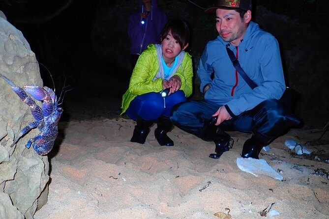 Okinawa Iriomotejima Night Adventure Tour - Who is This Tour Best For?