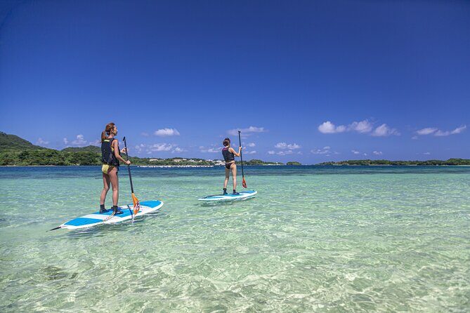 Okinawa Ishigaki Kabira Bay SUP or Canoe Tour - The Full Experience: What to Expect on the Tour