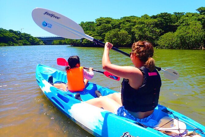 Okinawa Ishigaki Mangrove SUP or Canoe Tour - An In-Depth Look at the Mangrove SUP & Canoe Experience