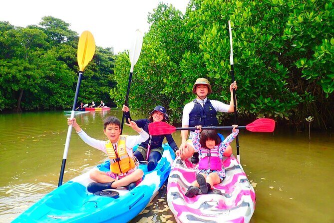 Okinawa Ishigaki Mangrove SUP or Canoe Tour - Who Should Book This Tour?