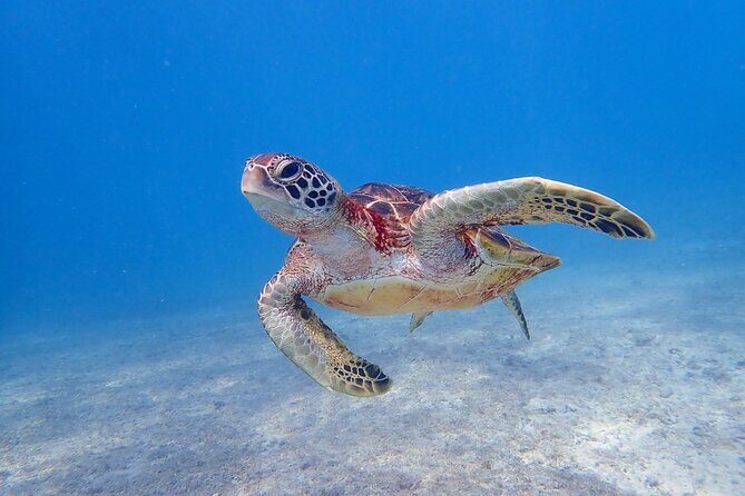 Okinawa Miyako 3set Beach SUP, Snorkeling,Pumpkin Cave,Canoeing - An In-Depth Look at the Miyako Island 3-Set Tour