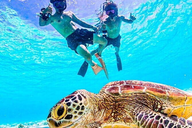Okinawa Miyako Sea turtle Snorkeling Free Pick up and Drop off - Key Points