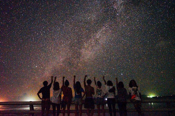 Okinawa Miyako Star gazing and subtropical jungle night tour - Review of the Okinawa Miyako Star Gazing and Subtropical Jungle Night Tour