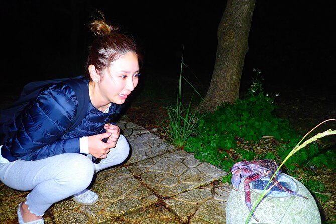 Okinawa Miyako Star gazing and subtropical jungle night tour - What to Expect from the Miyakojima Night Eco Tour