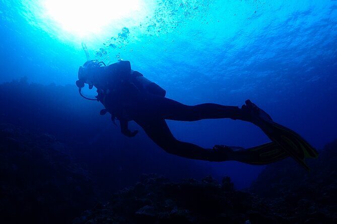 Okinawa Scuba Diving For Certified Divers (3 boat dives + Lunch) - Okinawa Scuba Diving For Certified Divers (3 boat dives + Lunch): A Practical Deep Dive into the Ocean