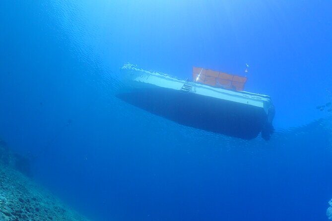 Okinawa Scuba Diving For Certified Divers (3 boat dives + Lunch) - The Value of This Tour