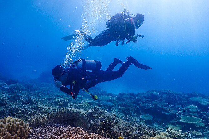 Okinawa Scuba Diving For Certified Divers (3 boat dives + Lunch) - FAQ