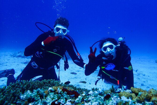 Okinawa: Scuba Diving Tour with Wagyu Lunch and English guide - An In-Depth Look at This Okinawa Scuba Tour