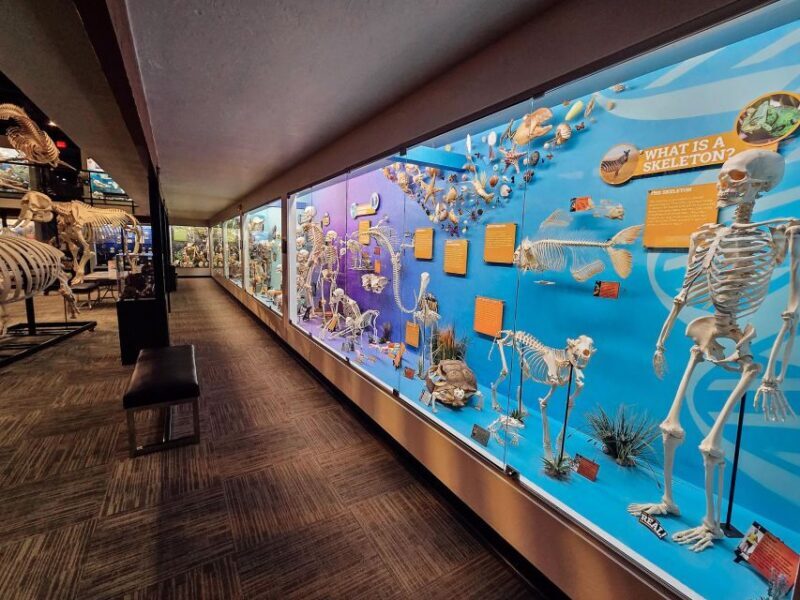 Oklahoma City: SKELETONS: Museum of Osteology Ticket - Final Thoughts: Who Is This Experience Perfect For?