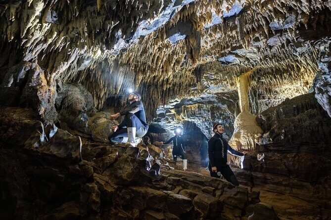 Okohua Glowworm Cave Adventure - Exploring the Itinerary