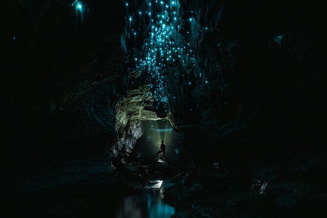 Okohua Glowworm Cave Adventure - The Sum Up