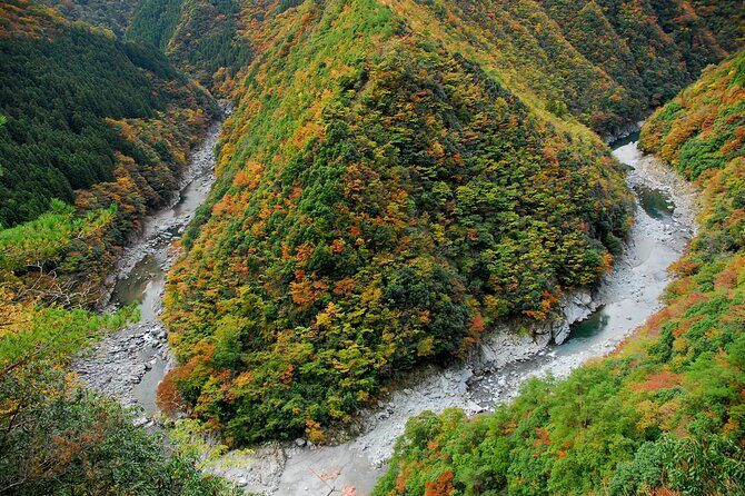 Oku-Iya Cab Plan 6 Hours Course / Tokushima, Shikoku - A Deep Dive into the Itinerary