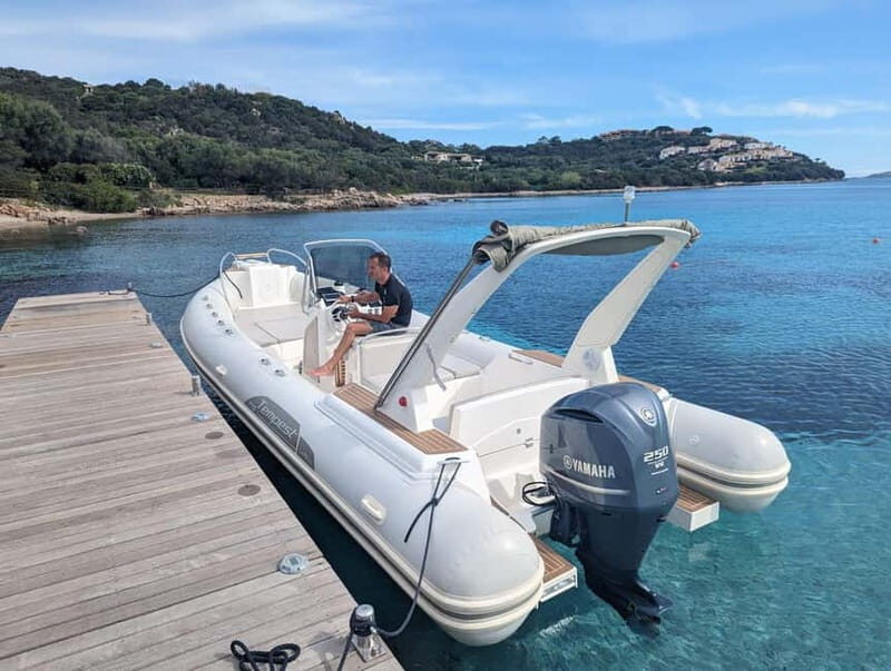 Olbia: Dolphin Watching & Snorkeling Boat Trip - Frequently Asked Questions