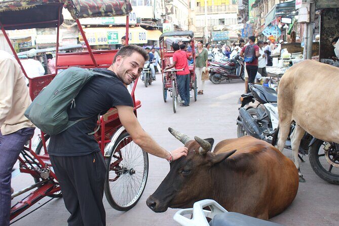 Old Delhi Food Tour Safari - The Capital of Flavors - An In-Depth Look at the Old Delhi Food Tour