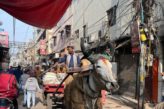 Old Delhi Heritage Food Walk - The Sum Up