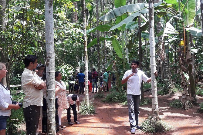 Old Goa Churches, Temples & Spice Plantation With "Goan" Lunch - FAQ