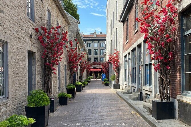 Old Montreal: Private History Walking Tour with Tastings - The Itinerary: A Deep Dive into Historic Montreal and Its Flavors