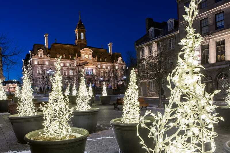 Old Montréal Small-Group Christmas Tour - Who Will Enjoy This Tour?