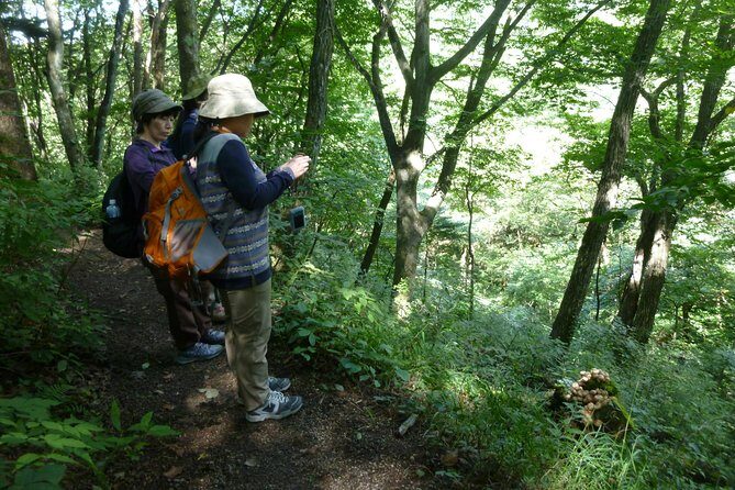 Old Nakasendo trekking from Karuizawa-Beyond Sugahi Pass to Sakamoto Hotel- - Exploring the Old Nakasendo: A Trek from Karuizawa to Sakamoto Inn