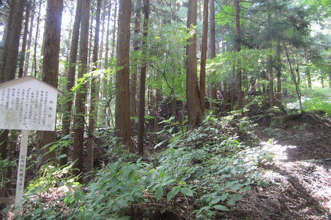 Old Nakasendo trekking from Karuizawa-Beyond Sugahi Pass to Sakamoto Hotel- - Final Thoughts