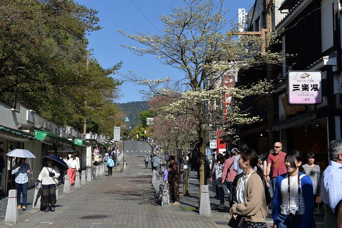 Old Port Town and Ultimate Sake Tasting Private Tour From Kyoto - The Sum Up