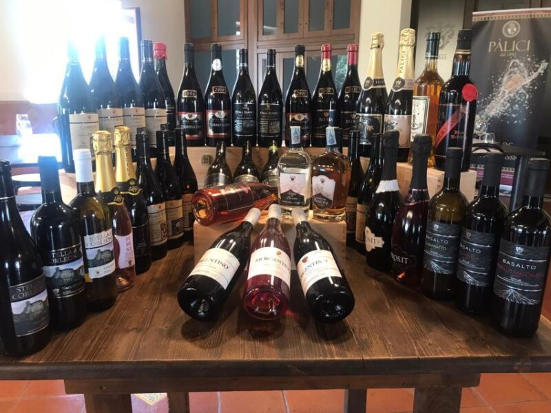 Old Sicily and Etna wine tasting tour from Taormina - Who Is This Tour Best For?