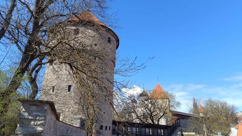 Old Tallinn Highlights & its Medieval Past - Who Should Consider This Tour?