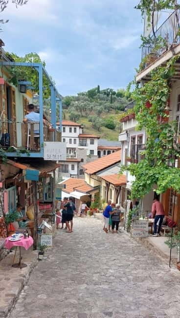 Old Town Bar, Old Olive Tree and the region of olive groves - Old Town Bar, Old Olive Tree and the region of olive groves – A Genuine Montenegrin Experience