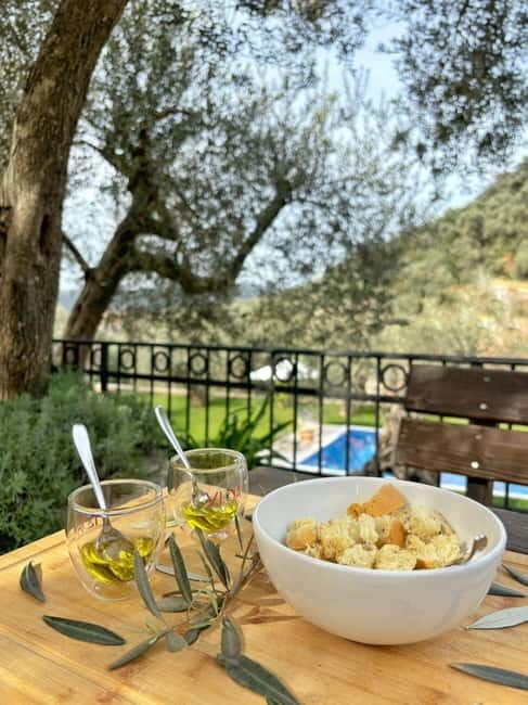 Old Town Bar, Old Olive Tree and the region of olive groves - The Olive Villa and Olive Groves - A Sensory Journey