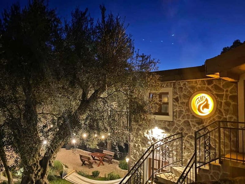 Old Town Bar, Old Olive Tree and the region of olive groves - FAQ