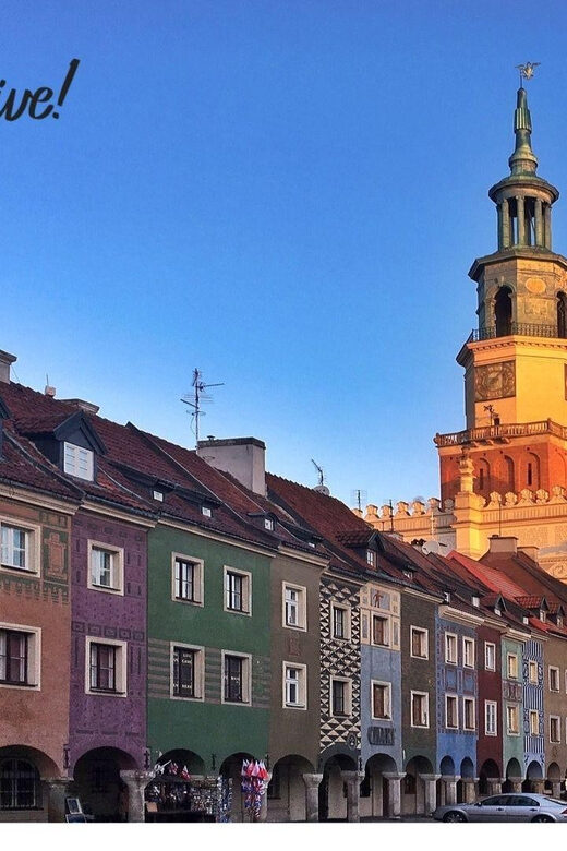 Old Town Poznan: Guided Walking Tour in English - Who Will Love This Tour
