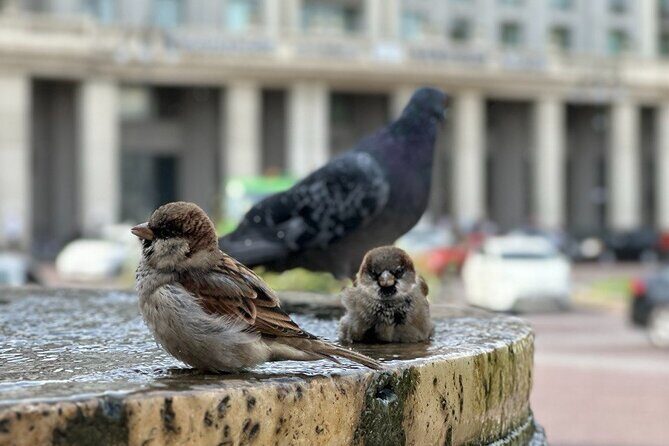 Old Town Tbilisi: Walking Tour & Wine Tasting with a Local Guide - Who Is This Tour Best For?