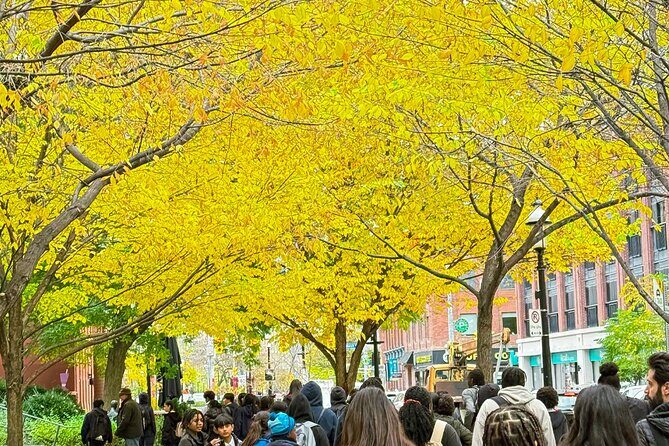 Old Town Toronto and Saint Lawrence Market Walking Tour - Final Thoughts: Who Will Love This Tour?