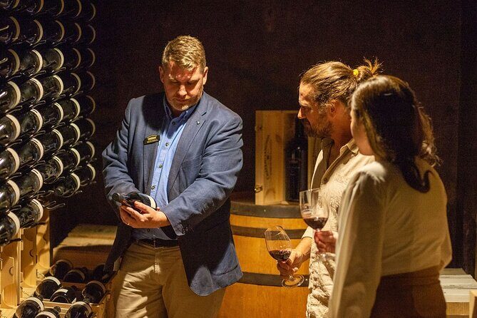 Old Vine Expressions Tasting - An Introduction to the Experience