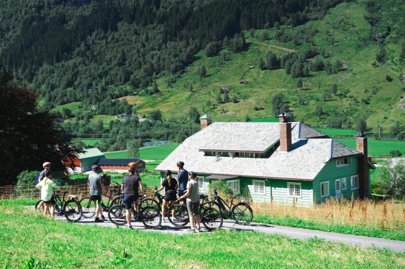 Olden: Guided e-bike tour - Who Is This Tour Perfect For?