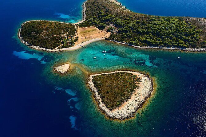 Oldest Olive Tree With Tasting And Lunch - FAQ