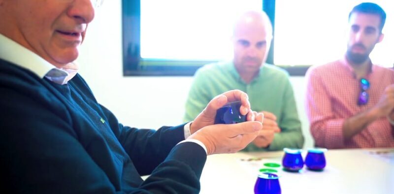 OleoAlmanzora: Guided tour + Masterclass of EVOO tasting Eng - Key Points