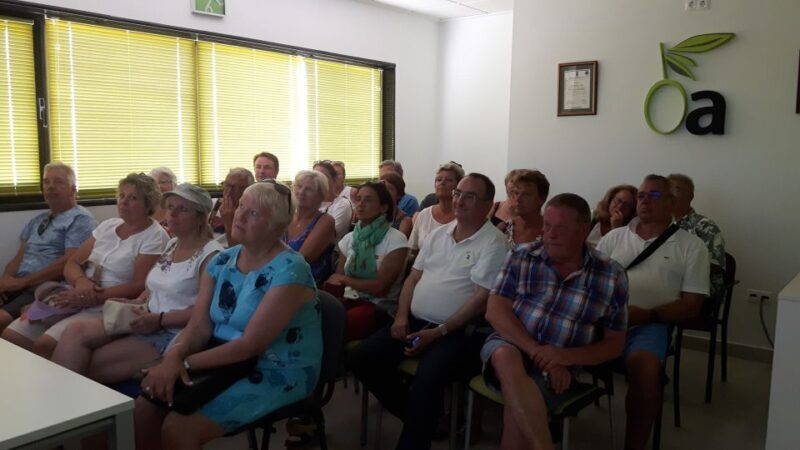 OleoAlmanzora: Guided tour + Masterclass of EVOO tasting Eng - Authenticity and Value: What Makes This Experience Special?