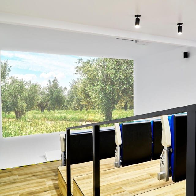 Oleotourism and Monumental Cities - Final Thoughts: Who Is This Tour Best For?