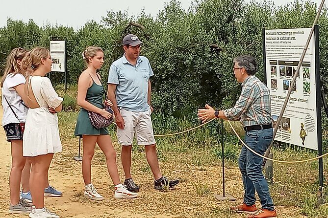 Oleotourism and olive oil tasting in Seville - Private tour - Key Points
