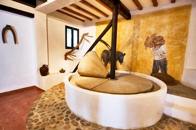 Oleotourism and olive oil tasting in Seville - Private tour - Authentic Insights from Reviewers