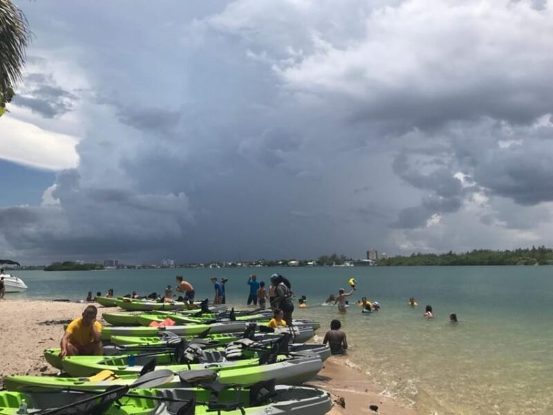 Oleta River State Park: Eco Kayak or Paddleboard Tour - What to Expect from the Oleta River State Park Eco Tour